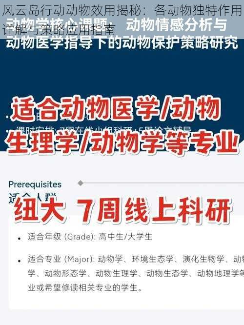 风云岛行动动物效用揭秘：各动物独特作用详解与策略应用指南