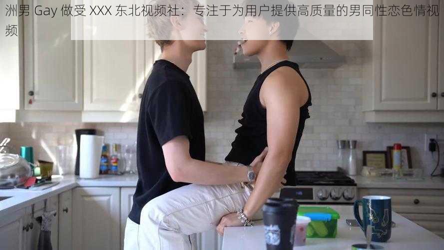 洲男 Gay 做受 XXX 东北视频社：专注于为用户提供高质量的男同性恋色情视频