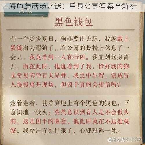 海龟蘑菇汤之谜：单身公寓答案全解析