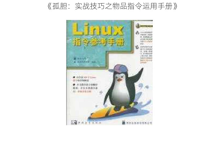 《孤胆：实战技巧之物品指令运用手册》