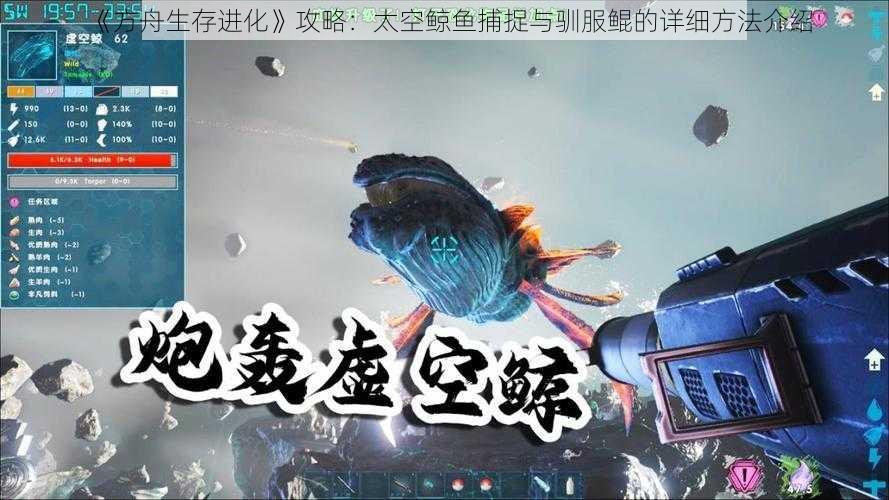 《方舟生存进化》攻略：太空鲸鱼捕捉与驯服鲲的详细方法介绍