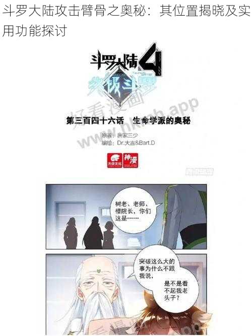 斗罗大陆攻击臂骨之奥秘：其位置揭晓及实用功能探讨